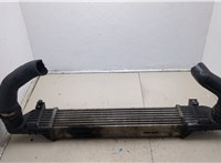  Радиатор интеркулера Mercedes S W220 1998-2006 20523629 #1