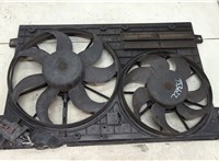  Вентилятор радиатора Volkswagen Passat 6 2005-2010 20523707 #1