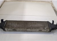  Радиатор интеркулера Mercedes C W204 2006-2015 20523947 #1