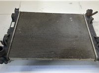 214100078R Радиатор охлаждения двигателя Dacia Duster 2010-2017 20523998 #4