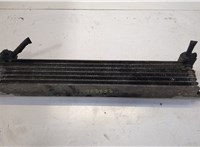 6025310186 Радиатор масляный Renault Espace 3 1996-2002 20524034 #1