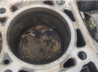 7701472197 Блок цилиндров (Шорт блок) Renault Scenic 1996-2002 20524809 #8