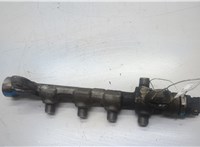  Рампа (рейка) топливная Fiat Doblo 2000-2015 20525398 #4