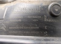 9812150180 Защита арок (подкрылок) Citroen C3 2016-2024 20525498 #3