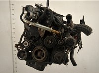  Двигатель (ДВС) Nissan Navara 2004-2015 20525513 #1