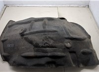  Защита арок (подкрылок) Renault Scenic 2009-2012 20525839 #1