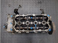  Головка блока (ГБЦ) Audi A4 (B7) 2004-2009 20525994 #1