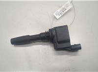 05E905110, 06H905110G Катушка зажигания Skoda Kodiaq 2016-2025 20526148 #1