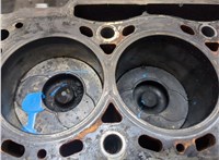  Блок цилиндров (Шорт блок) Renault Trafic 2001-2014 20526432 #9