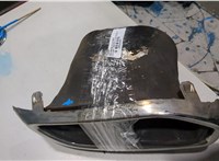 9673806180, 9673722380 Насадка глушителя Citroen DS5 2012-2015 20526482 #1
