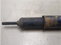 1707349 Амортизатор подвески DAF LF 2001-2013 20526858 #2