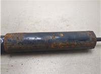 1707349 Амортизатор подвески DAF LF 2001-2013 20526861 #5