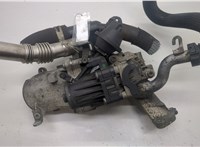  Клапан рециркуляции газов (EGR) Peugeot 208 2012-2019 20526945 #1