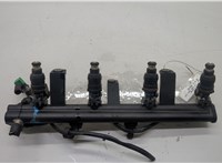  Форсунка топливная Peugeot 406 1995-1999 20527322 #1