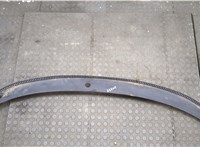3B1819415C Жабо под дворники (дождевик) Volkswagen Passat 5 1996-2000 20527600 #1