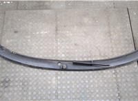 3B1819415C Жабо под дворники (дождевик) Volkswagen Passat 5 1996-2000 20527600 #2