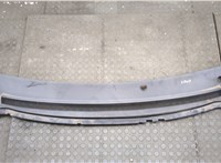  Жабо под дворники (дождевик) Ford Focus 2 2005-2008 20527670 #1