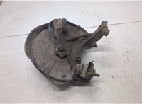  Ступица (кулак, цапфа) Audi A4 (B6) 2000-2006 20526847 #1
