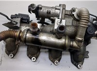 Клапан рециркуляции газов (EGR) Ford Transit (Tourneo) Connect 2002-2013 20527957 #1