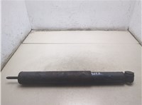  Амортизатор подвески Iveco EuroCargo 2 2002-2015 20528064 #1