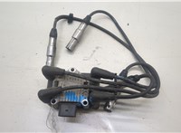  Катушка зажигания Volkswagen Passat 5 1996-2000 20529565 #1