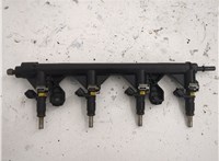  Форсунка топливная Citroen C4 Grand Picasso 2006-2013 20530055 #2
