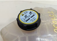 1513111, 8V218K218AB, 1301104, 3M5H8100AD Бачок расширительный Ford B-max 2012-2018 20530160 #3