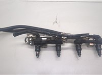  Форсунка топливная Volkswagen Passat 5 1996-2000 20530177 #1
