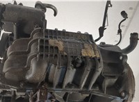  Насос гидроусилителя руля (ГУР) Ford Focus 2 2008-2011 11464559 #6