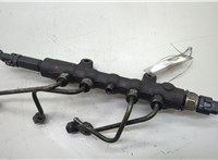  Рампа (рейка) топливная Ford Transit 2006-2014 20531000 #1