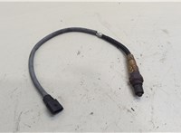  Лямбда зонд Renault Scenic 2003-2009 20531082 #1