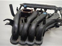  Коллектор впускной Volkswagen Polo 2005-2009 20531130 #1