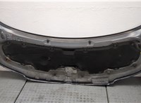  Капот Volkswagen Transporter 5 2003-2015 20531341 #11