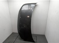  Капот Volkswagen Transporter 5 2003-2015 20531426 #1