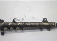  Рампа (рейка) топливная Opel Combo 2001-2011 20531657 #1