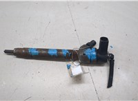 A6110700687 Форсунка топливная Mercedes Sprinter 1996-2006 20531938 #1