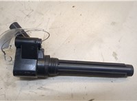 06L905110K Катушка зажигания Volkswagen Passat 2018-2022 USA 20532032 #1