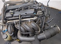  Насос гидроусилителя руля (ГУР) Ford Focus 2 2005-2008 11466338 #10