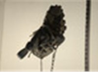  КПП 5-ст.мех 4х4 (МКПП) Suzuki Grand Vitara 1997-2006 20533909 #2