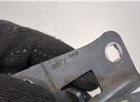 9676670280 Петля капота Peugeot 508 2010-2018 20534452 #3