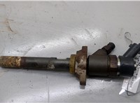 1980H2, 0445110239 Форсунка топливная Peugeot 307 2001-2008 20534745 #1