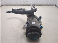  Компрессор кондиционера Opel Meriva 2003-2010 20533878 #4