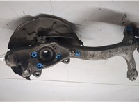 8E0407254C, 4B0407613B Ступица (кулак, цапфа) Audi A4 (B6) 2000-2006 20533889 #4