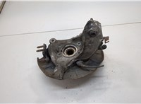  Ступица (кулак, цапфа) Volkswagen Passat 6 2005-2010 20536019 #2