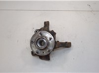  Ступица (кулак, цапфа) Chevrolet Captiva 2006-2011 20536093 #1
