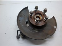 13526966, 13324459, 13470639 Ступица (кулак, цапфа) Chevrolet Volt 2010-2015 20536160 #1