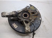 13526966, 13324458, 13470639 Ступица (кулак, цапфа) Chevrolet Volt 2010-2015 20536218 #2