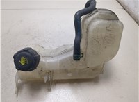 217100014R Бачок расширительный Renault Laguna 3 2007-2025 20536318 #4