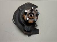  Ступица (кулак, цапфа) Lexus RX 1998-2003 20536467 #1