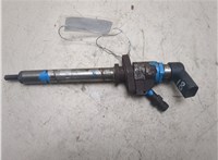 9657144580 Форсунка топливная Ford C-Max 2002-2010 20536495 #1